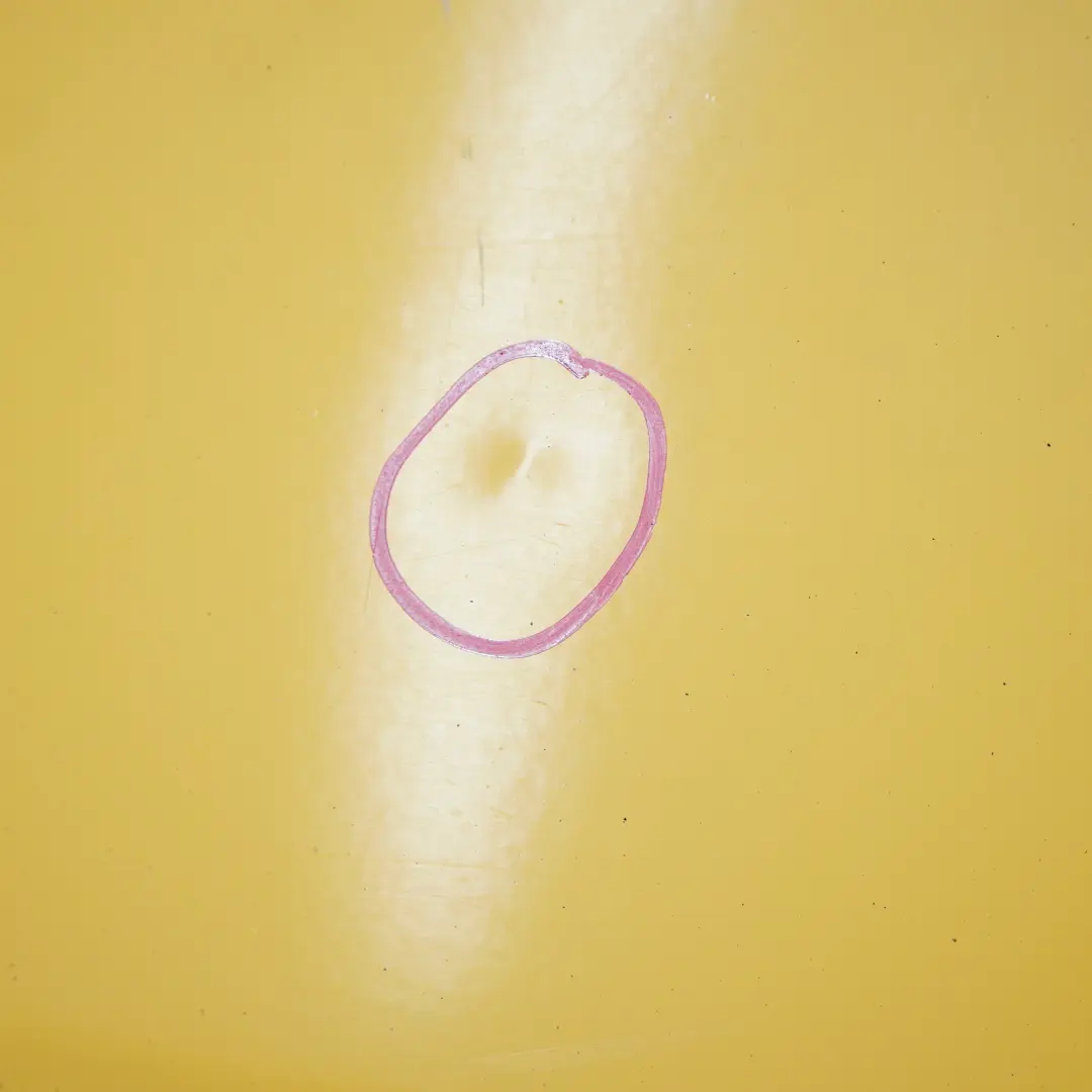 Door Front Left N/S Covering Panel Broom Yellow DHL 1212 to Mercedes Sprinter W906 with Part number A9067200005 Mercedes Sprinter W906 Door Front Left N/S Covering Panel Broom Yellow DHL 1212 - SKU A9067200005-BYE - Part number A9067200005