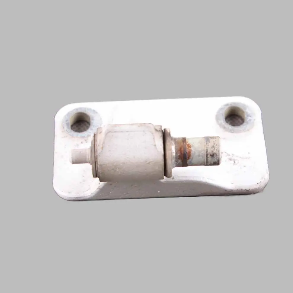 Door Hinge Front Right O/S Lower Arctic White - 9147 to Mercedes W906 with Part number A9067200337 Mercedes W906 Door Hinge Front Right O/S Lower Arctic White - 9147 - SKU A9067200337-ARW - Part number A9067200337
