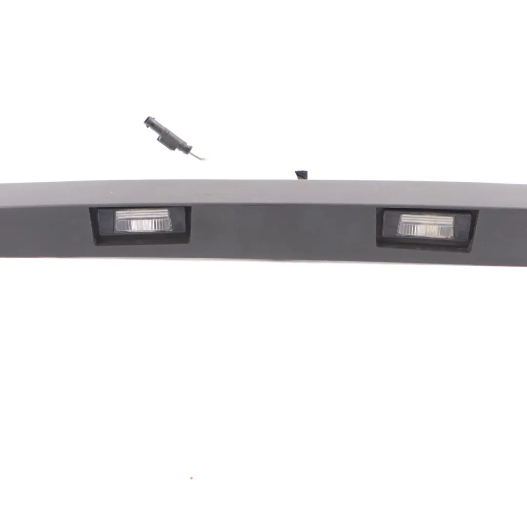 Mercedes Sprinter W906 Couvercle De Plaque D'Immatriculation Hayon - SKU A9067400900 - Numéro de pièce A9067400900