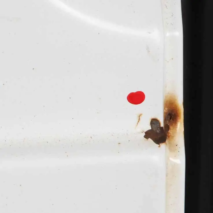  Boot Tailgate Door Mercedes Sprinter W906 Rear Left N/S High Roof Arctic White - SKU A9067402300-ARW1 - Part number A9067402300