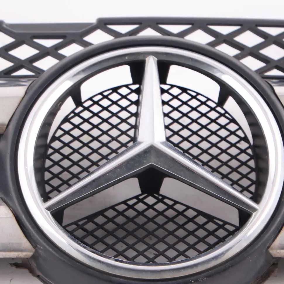 Front Grille Hood Radiator Covering Trim to Mercedes Sprinter W906 with Part number A9068800385 Mercedes Sprinter W906 Front Grille Hood Radiator Covering Trim - SKU A9068800385 - Part number A9068800385