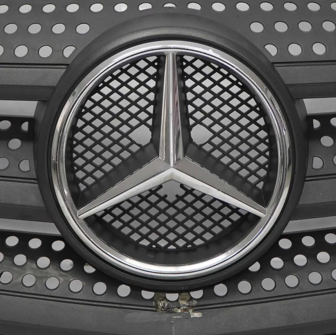Mercedes Sprinter W906 Vorderseite grill Haube Kühlerabdeckung Trim - SKU A9068800885 - Teilenummer A9068800885