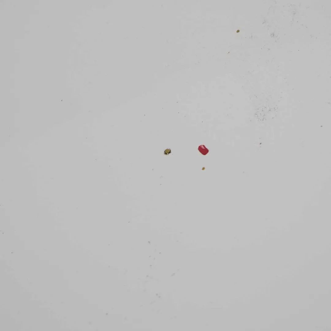 Maska Silnika Frozen White Z2 do Ford Transit Connect o numerze AT16-V16610-AA-FW Ford Transit Connect Maska Silnika Frozen White Z2 - SKU AT16-V16610-AA-FW1 - Numer Części AT16-V16610-AA-FW