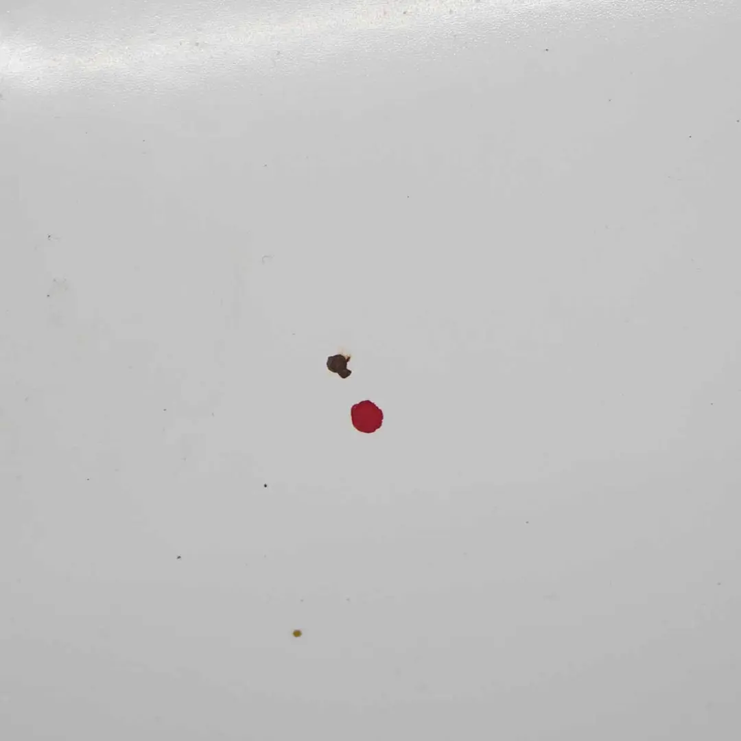 Ford Transit Connect Maska Silnika Frozen White Z2 - SKU AT16-V16610-AA-FW1 - Numer Części AT16-V16610-AA-FW