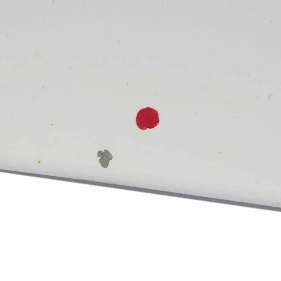 Ford Transit Hood Bonnet Trim Covering Panel Frozen White - Z2 - SKU AT16-V16610-AA-FW - Part number AT16-V16610-AA-FW