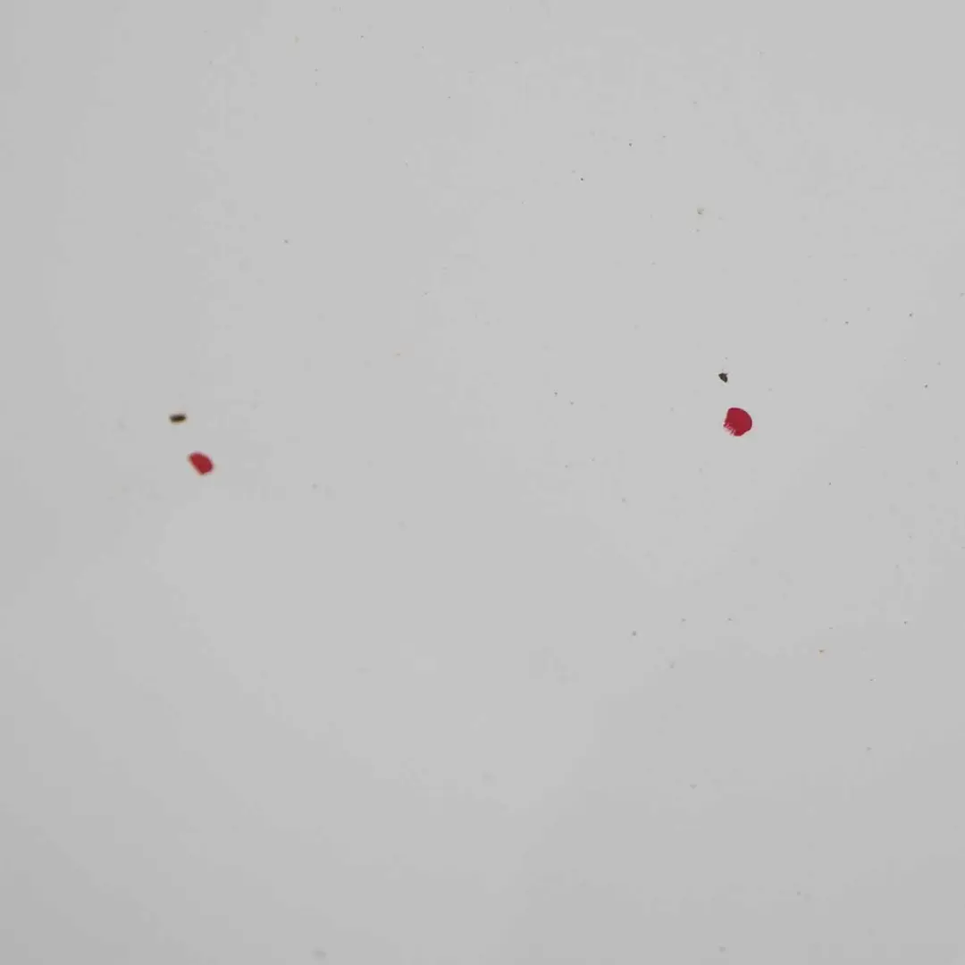 Ford Transit Connect Maska Silnika Frozen White Z2 - SKU AT16-V16610-AA-FW - Numer Części AT16-V16610-AA-FW