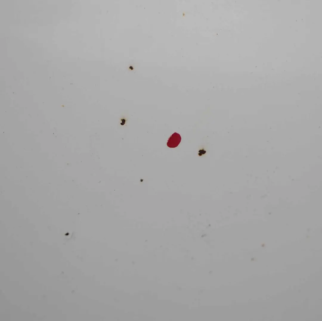 Ford Transit Connect Maska Silnika Frozen White Z2 - SKU AT16-V16610-AA-FW - Numer Części AT16-V16610-AA-FW