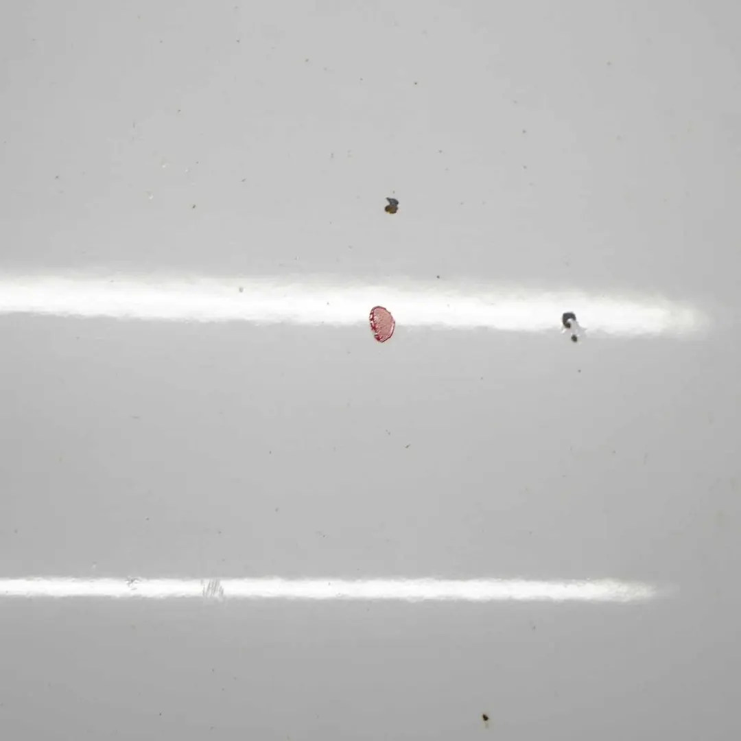 Ford Transit Connect Maska Silnika Frozen White Z2 - SKU AT16-V16610-AA-FW - Numer Części AT16-V16610-AA-FW