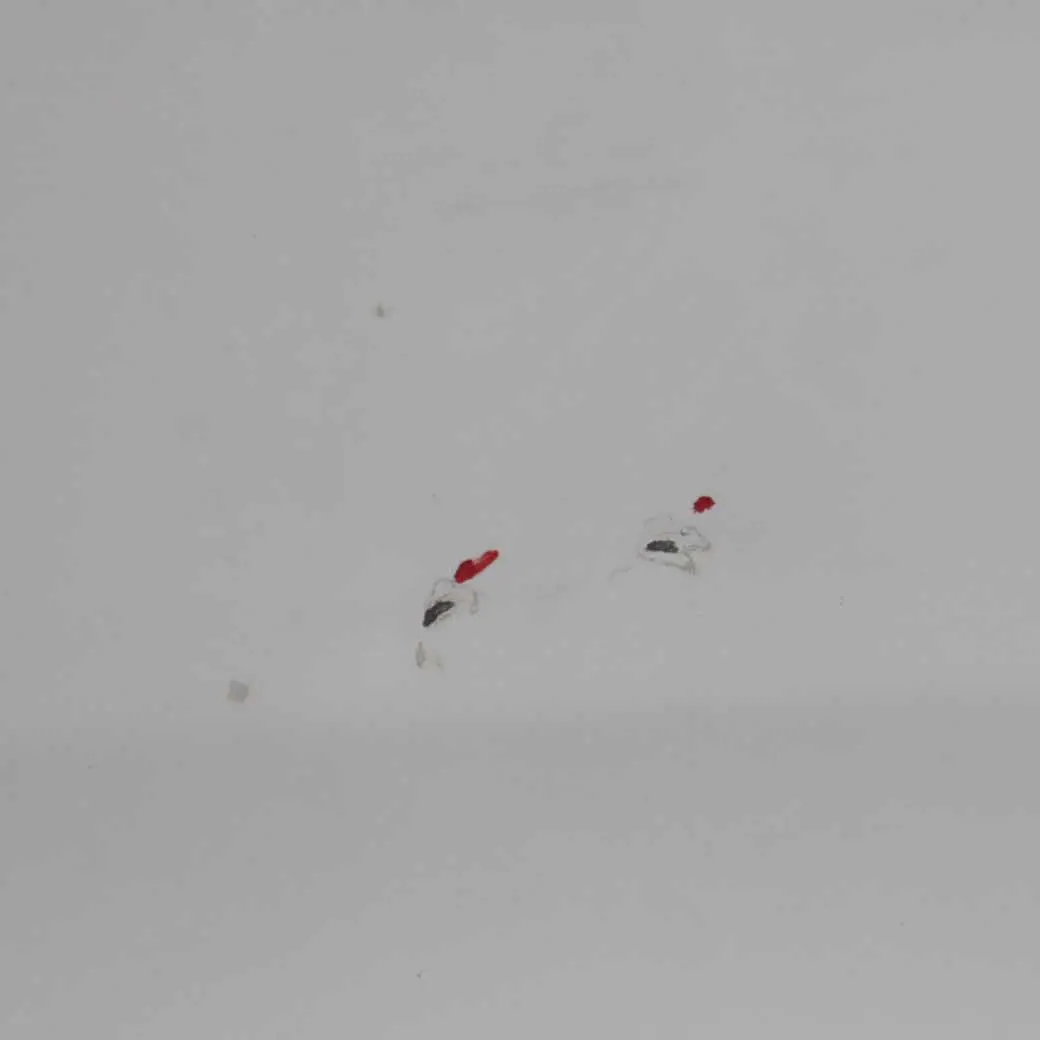 Drzwi Prawy Tył Frozen White do Ford Transit Connect o numerze AT16-V40010-CA Ford Transit Connect Drzwi Prawy Tył Frozen White - SKU AT16-V40010-CA-FW - Numer Części AT16-V40010-CA