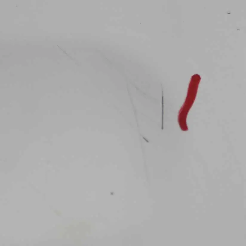 Drzwi Prawy Tył Frozen White do Ford Transit Connect o numerze AT16-V40010-CA Ford Transit Connect Drzwi Prawy Tył Frozen White - SKU AT16-V40010-CA-FW - Numer Części AT16-V40010-CA