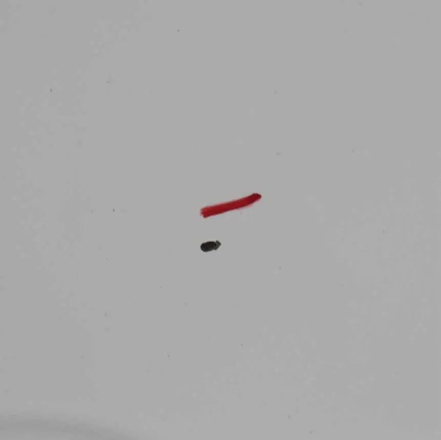 Drzwi Lewe Tylne Frozen White do Ford Transit Connect o numerze AT16-V40011-CB Ford Transit Connect Drzwi Lewe Tylne Frozen White - SKU AT16-V40011-CB-FW - Numer Części AT16-V40011-CB