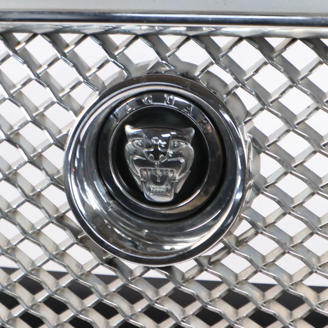 XF250 Front Bumper Covering Trim Panel Liquid Silver Metallic - 1K to Jaguar with Part number C2Z8838XXX Jaguar XF250 Front Bumper Covering Trim Panel Liquid Silver Metallic - 1K - SKU C2Z8838XXX-LSI - Part number C2Z8838XXX