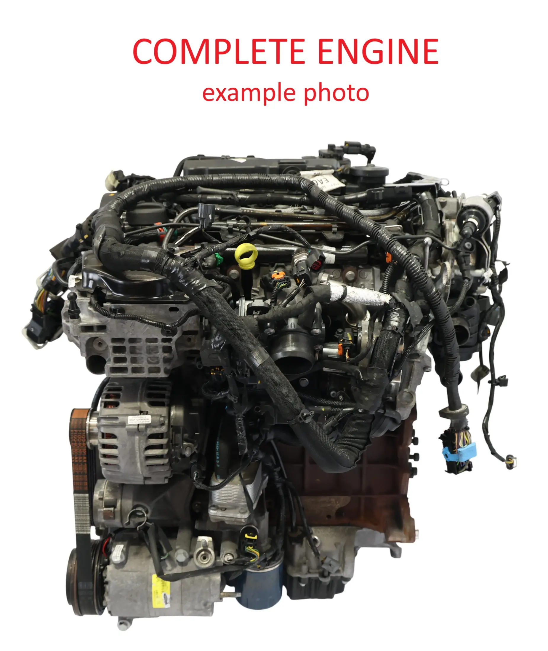 Ford Focus ST Mk3 Silnik Goły Słupek T8DA 2.0 TDCi 185KM