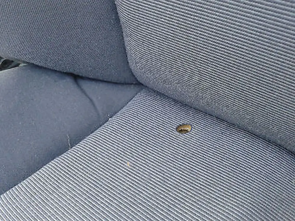 BMW 1 SERIES E87 Cloth Interior Seats with Airbag and 4 Door Cards - SKU E87 Cloth Seats - Part number 