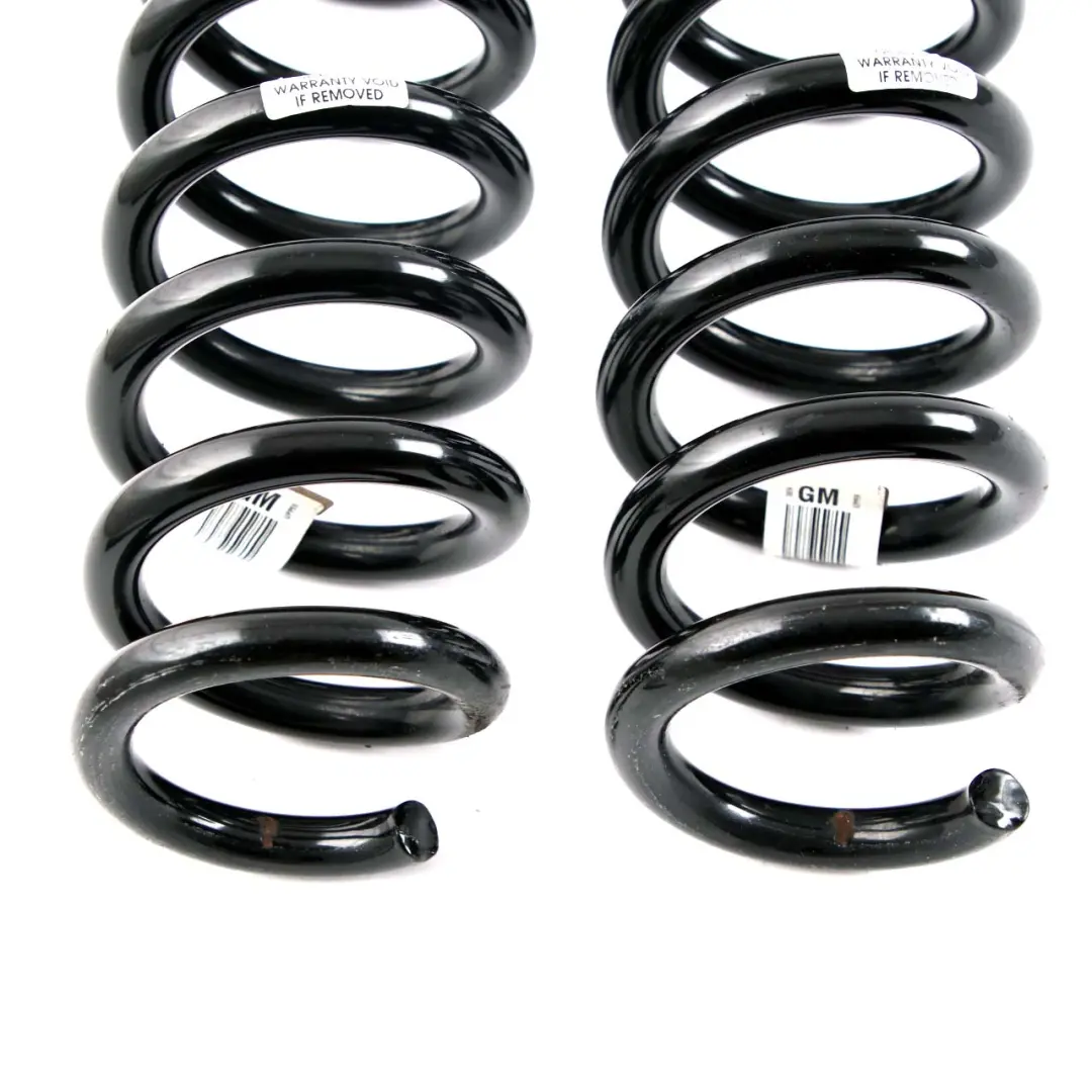 BMW F20 Hinterachsaufhängung Links Rechts Spiralfedernsatz GM - SKU F20 GM Rear Coil Spring Set - Teilenummer F20 GM