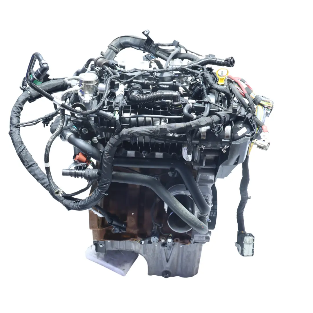 MK8 Moteur Nu SFJE SFJH SFJJ SFJN SFJP Y7JA 1.0 EcoBoost GARANTIE pour Ford Fiesta à propos du numéro de pièce H1BG-6006-RA Ford Fiesta MK8 Moteur Nu SFJE SFJH SFJJ SFJN SFJP Y7JA 1.0 EcoBoost GARANTIE - SKU H1BG-6006-RA - Numéro de pièce H1BG-6006-RA