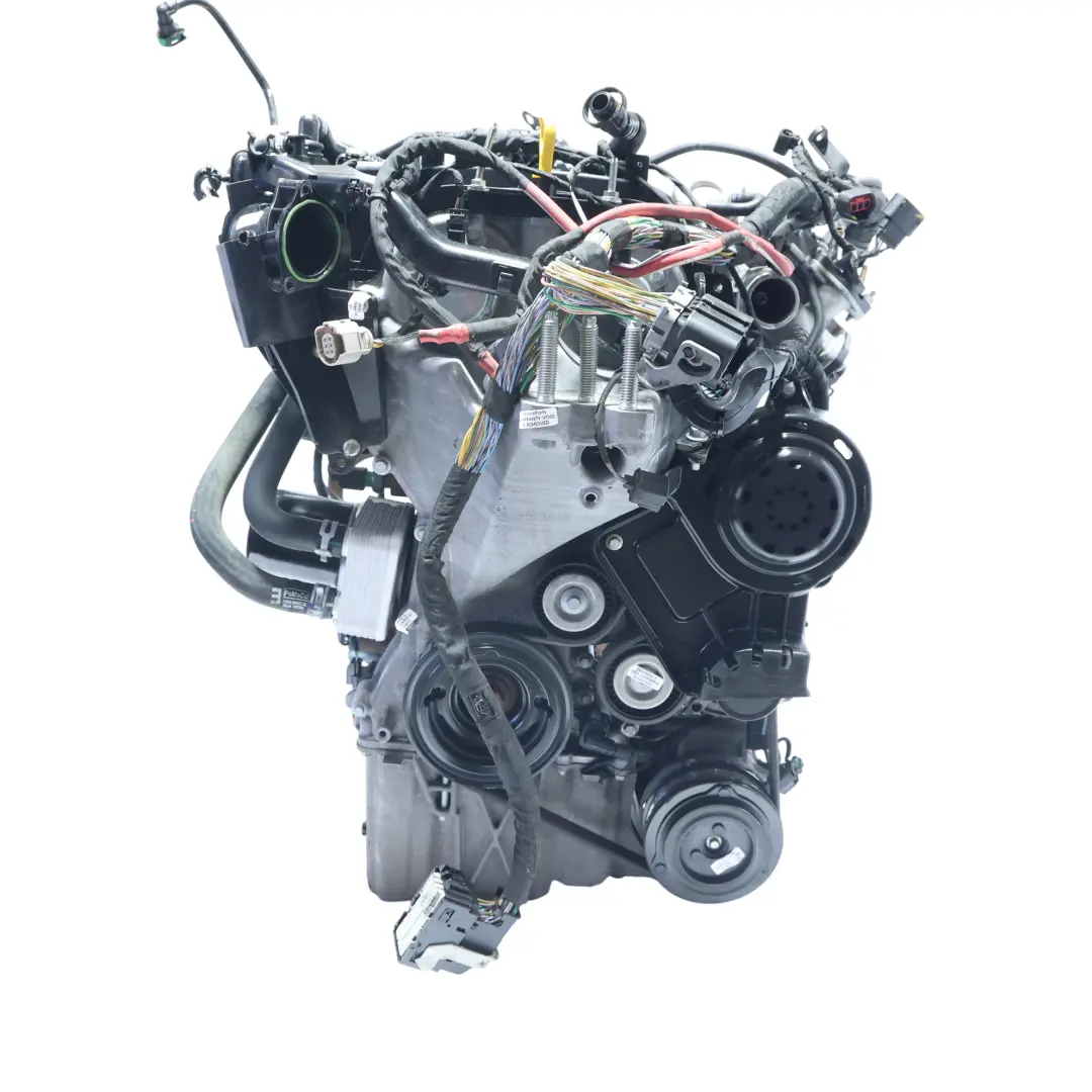 MK8 Bare Engine SFJE SFJH SFJJ SFJN SFJP Y7JA 1.0 EcoBoost WARRANTY to Ford Fiesta with Part number H1BG-6006-RA Ford Fiesta MK8 Bare Engine SFJE SFJH SFJJ SFJN SFJP Y7JA 1.0 EcoBoost WARRANTY - SKU H1BG-6006-RA - Part number H1BG-6006-RA
