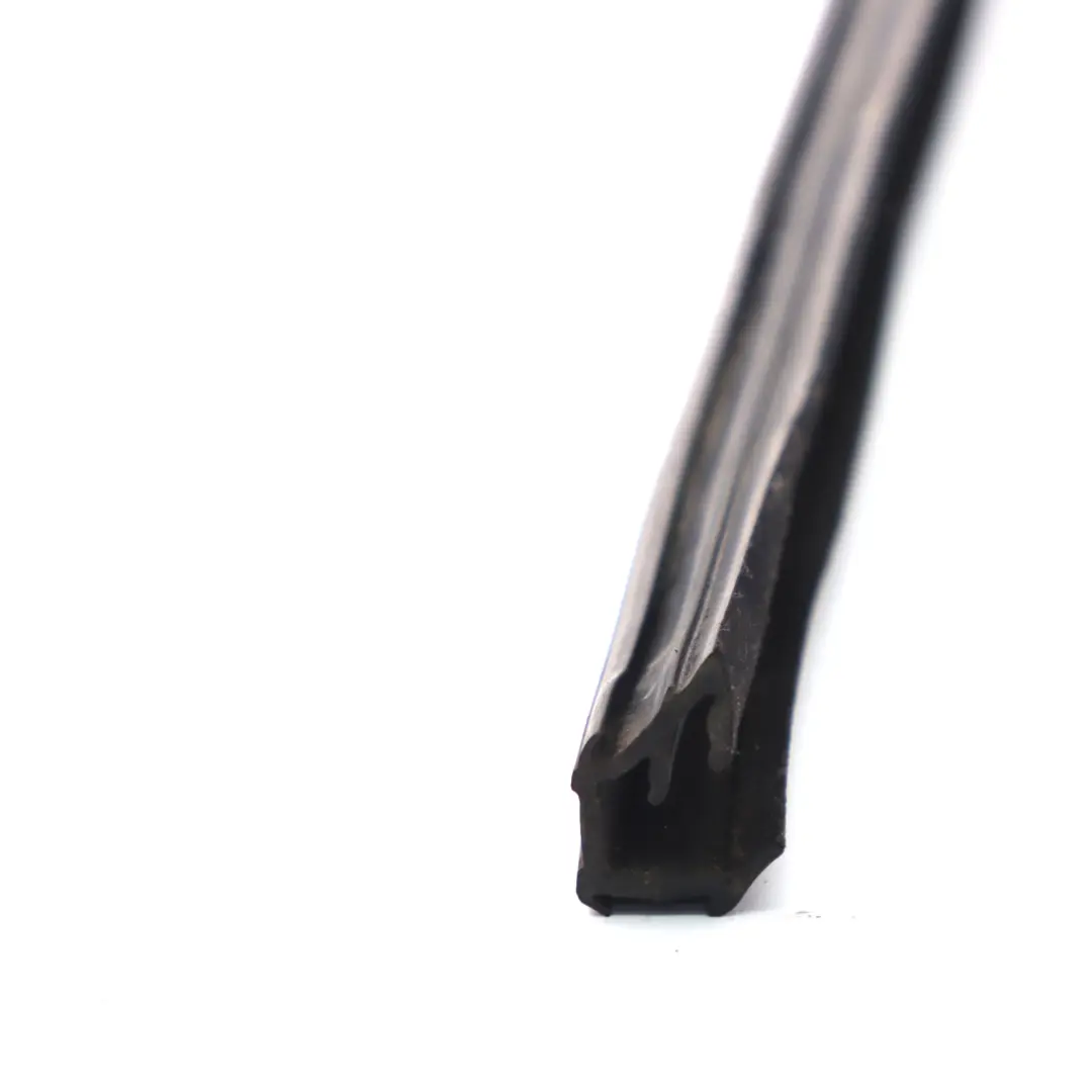 Land Rover Freelander 2 Fenster Dichtung Tür hinten links Führung - SKU LR007494 - Teilenummer LR007494