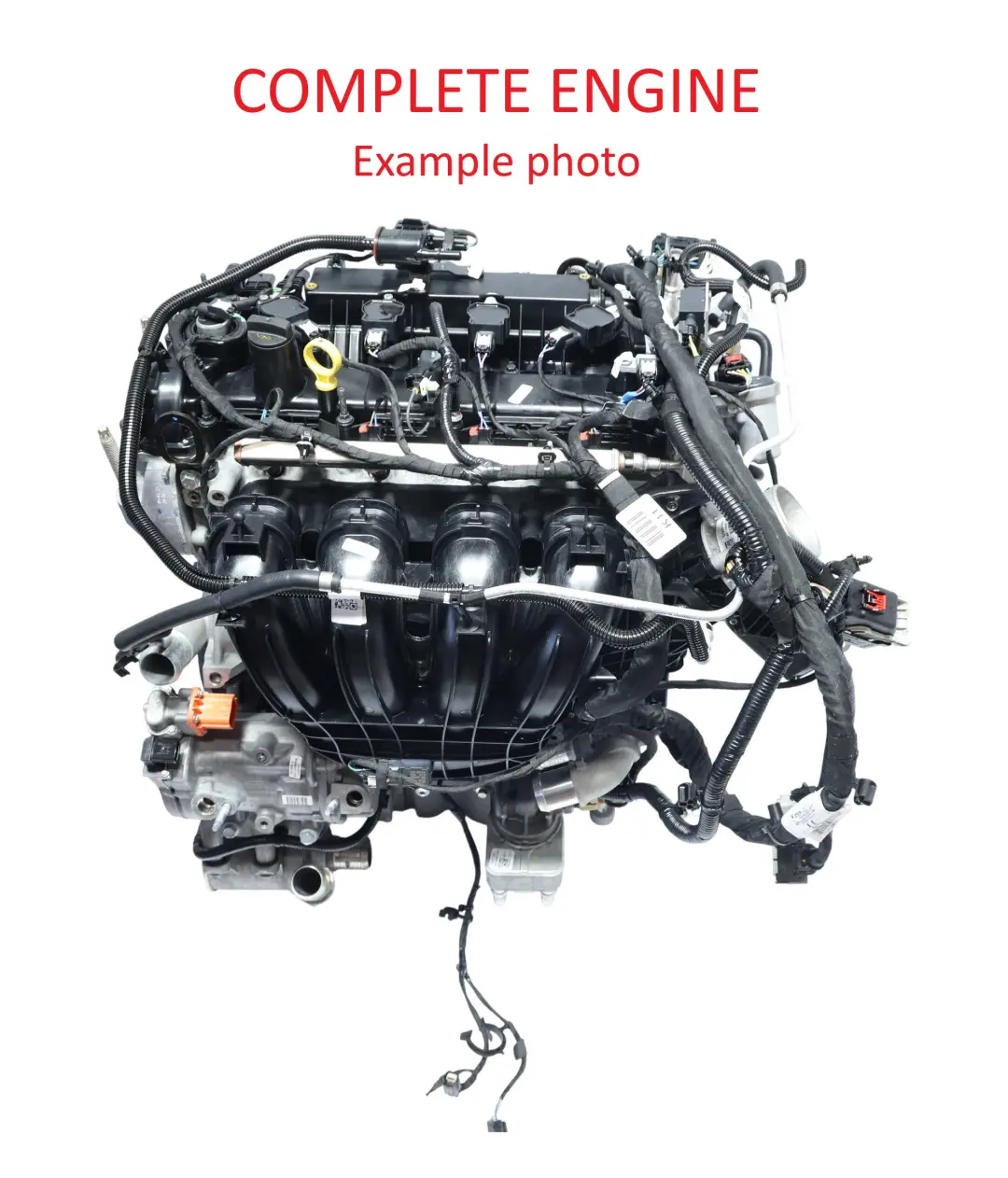 MK3 C482 Bare Engine 2.5 FHEV 190HP Petrol with 29k miles, WARRANTY to Ford Kuga with Part number LX6E-6006-DA Ford Kuga MK3 C482 Bare Engine 2.5 FHEV 190HP Petrol with 29k miles, WARRANTY - SKU LX6E-6006-DA - Part number LX6E-6006-DA