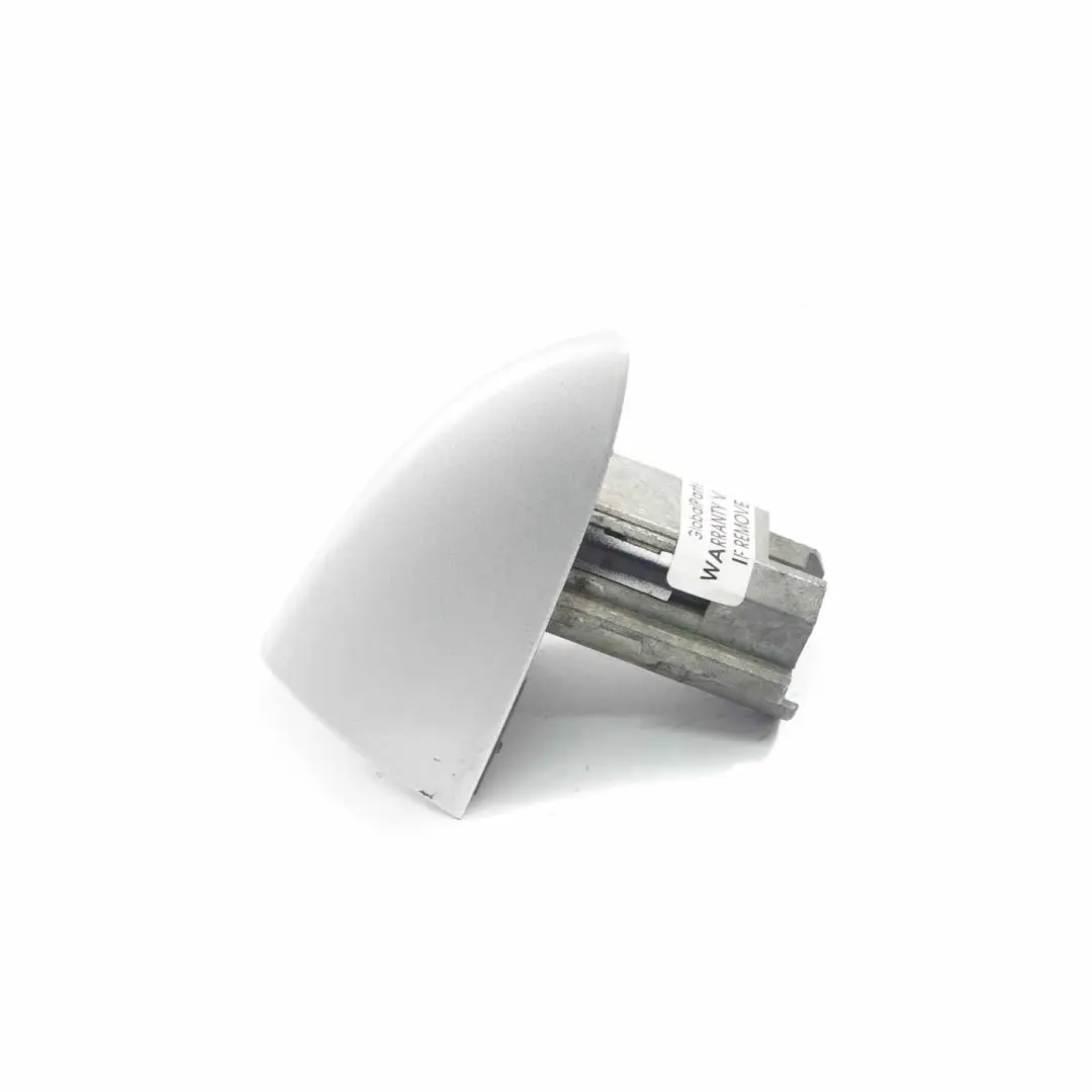 BMW X5 E53 Revetement Poignee Porte Arriere Gauche Bleu Titansilber Silver 354 - SKU P0007434-TS - Numéro de pièce 0007434
