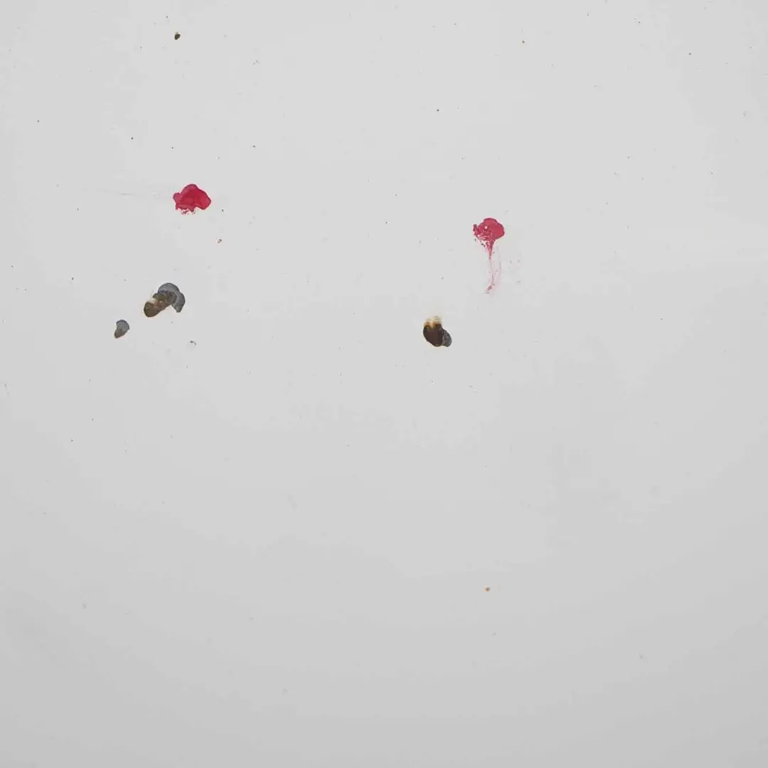 Capó Panel Cubre Capó Frozen White - Z2 para Ford Transit con número de pieza P6C11-16612-AP-FW Ford Transit Capó Panel Cubre Capó Frozen White - Z2 - SKU P6C11-16612-AP-FW - Número de pieza P6C11-16612-AP-FW