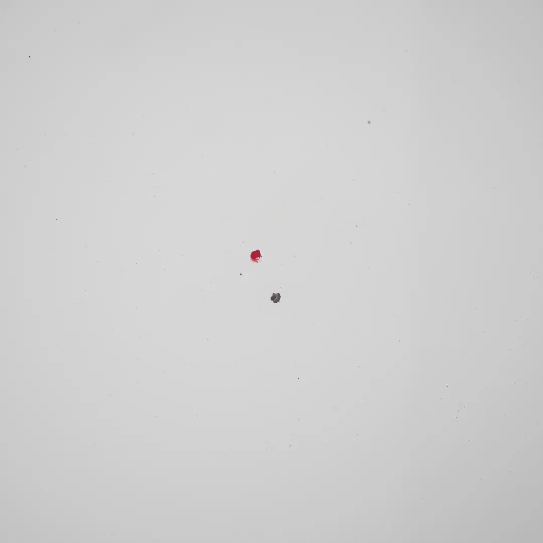 Capot Capot Panneau d'habillage Frozen White - Z2 pour Ford Transit à propos du numéro de pièce P6C11-16612-AP-FW Ford Transit Capot Capot Panneau d'habillage Frozen White - Z2 - SKU P6C11-16612-AP-FW - Numéro de pièce P6C11-16612-AP-FW