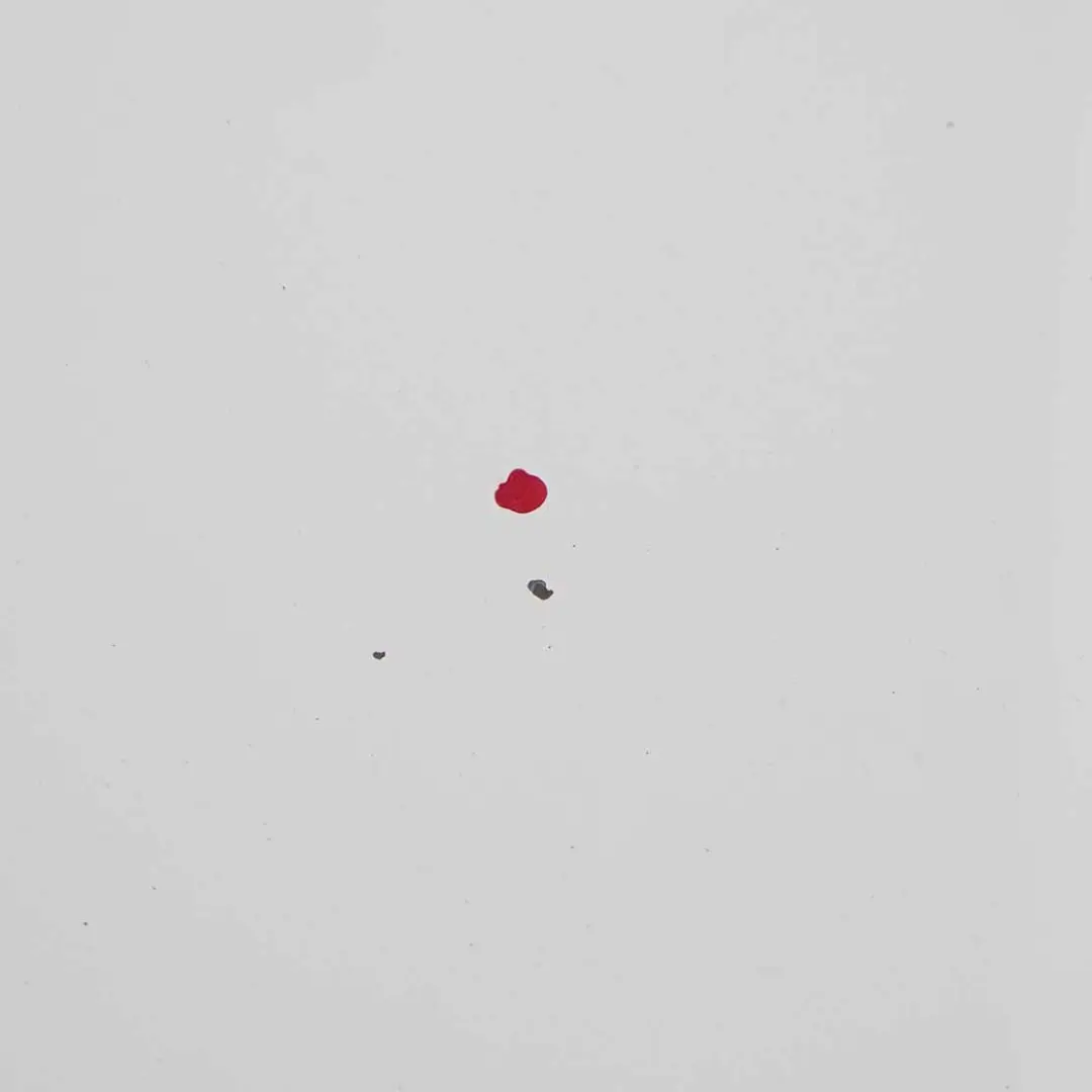 Ford Transit Capot Capot Panneau d'habillage Frozen White - Z2 - SKU P6C11-16612-AP-FW - Numéro de pièce P6C11-16612-AP-FW