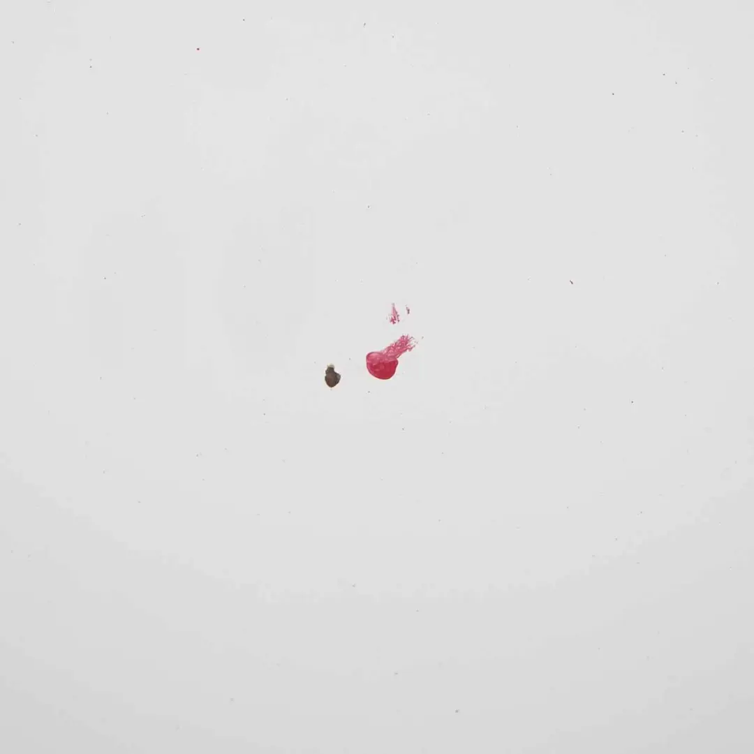 Ford Transit Maska Silnika Frozen White - Z2 - SKU P6C11-16612-AP-FW - Numer Części P6C11-16612-AP-FW