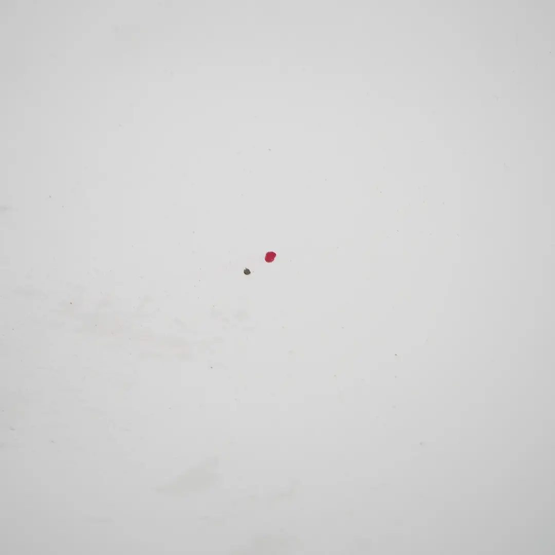 Hood Bonnet Trim Covering Panel Frozen White - Z2 to Ford Transit with Part number P6C11-16612-AP-FW Ford Transit Hood Bonnet Trim Covering Panel Frozen White - Z2 - SKU P6C11-16612-AP-FW - Part number P6C11-16612-AP-FW