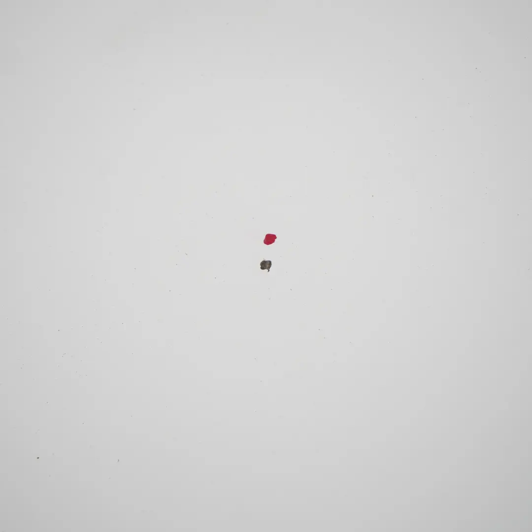 Motorhaube Motorhaube Trim Abdeckung Panel Frozen White - Z2 für Ford Transit mit Teilenummer P6C11-16612-AP-FW Ford Transit Motorhaube Motorhaube Trim Abdeckung Panel Frozen White - Z2 - SKU P6C11-16612-AP-FW - Teilenummer P6C11-16612-AP-FW