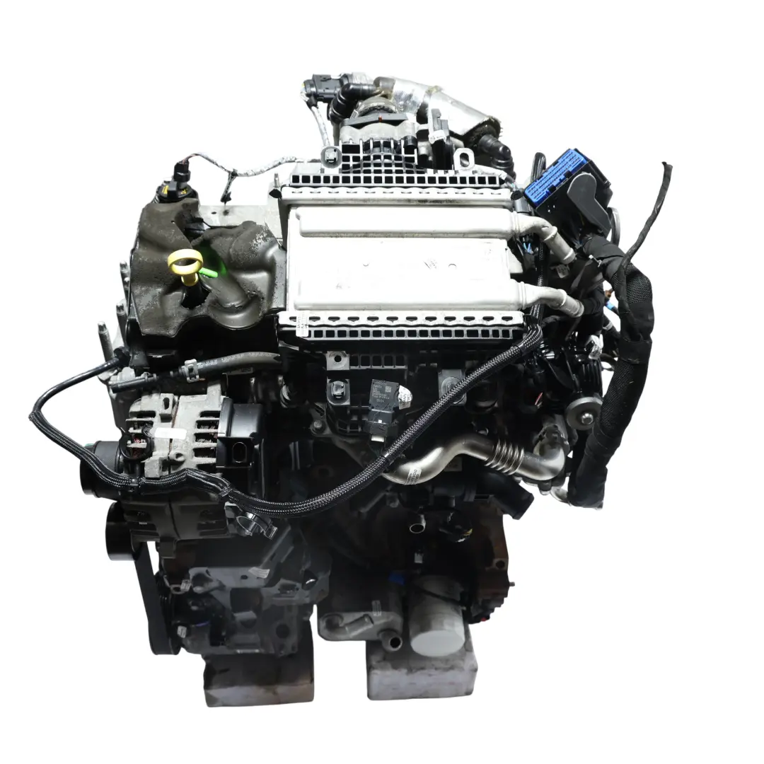Mk2 Silnik Kompletny BJFA 2.0 EcoBlue E 136HP do Ford Transit Custom o numerze PZ3Q-6006-EB Ford Transit Custom Mk2 Silnik Kompletny BJFA 2.0 EcoBlue E 136HP - SKU PZ3Q-6006-EB-1 - Numer Części PZ3Q-6006-EB
