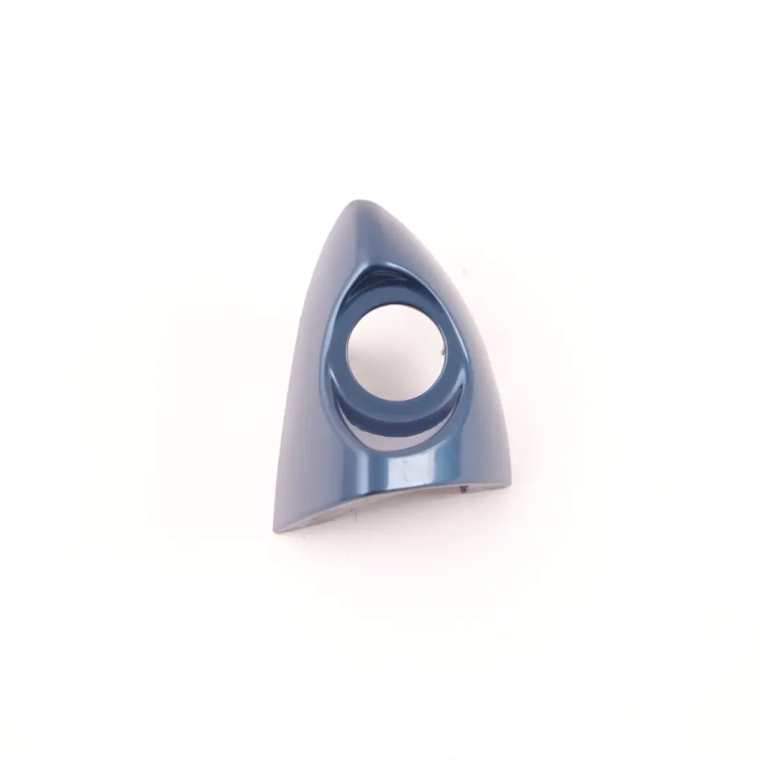 Door Handle Grab BMW X5 E53 Front Right O/S Topasblau Topaz Blue 364 to with Part number 0007423 Door Handle Grab BMW X5 E53 Front Right O/S Topasblau Topaz Blue 364 - SKU rhd-0007423-TPB1 - Part number 0007423