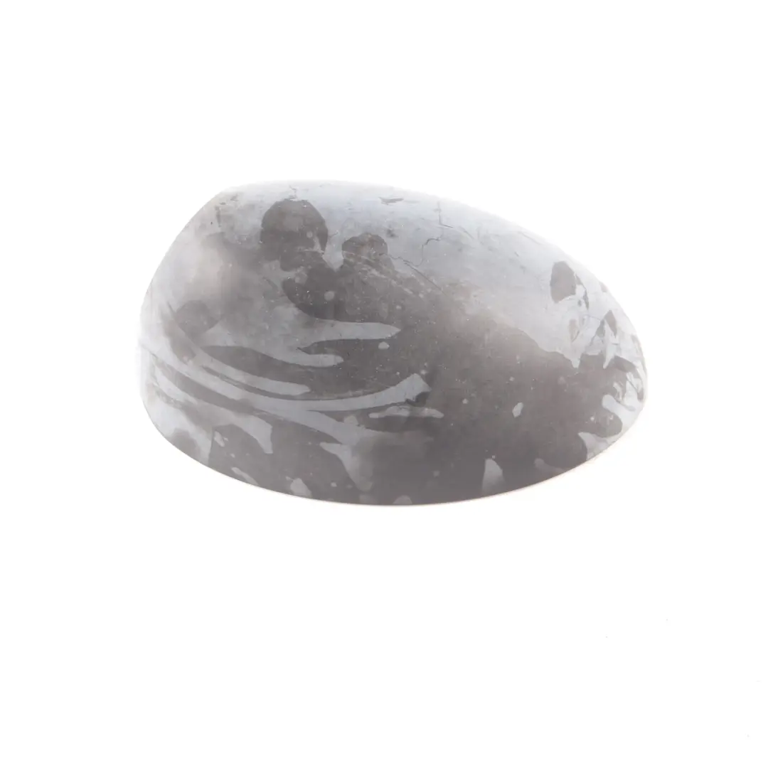  Wing Mirror Cover Mini Cooper R50 R53 Cap Casing Right O/S Primed Black - SKU rhd-7030636-PRIM1 - Part number 7030636