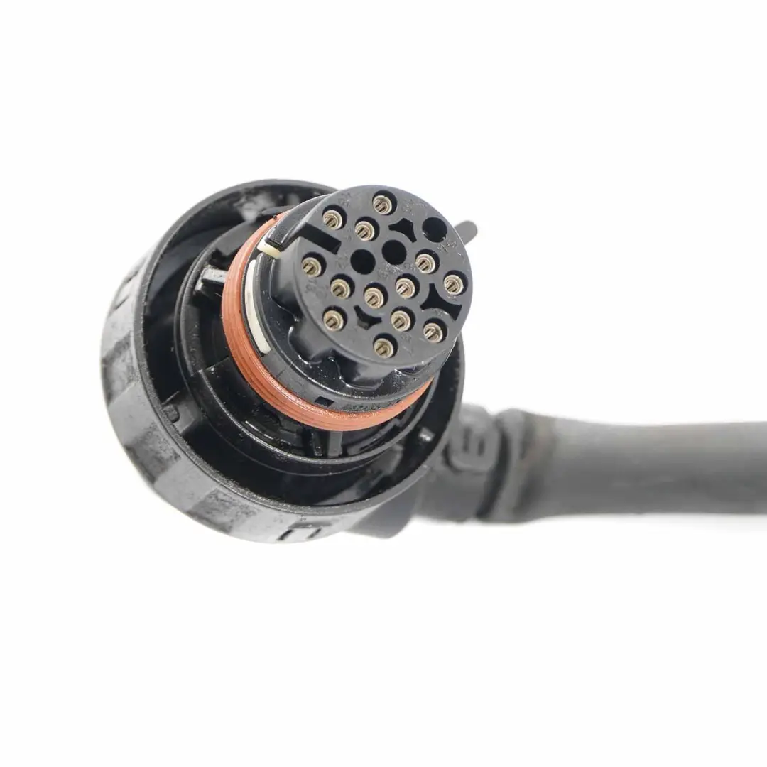 Wiring BMW E90 E91 E92 335i N54 Automatic Gearbox Loom Cable to Engine with Part number 7556390 Engine Wiring BMW E90 E91 E92 335i N54 Automatic Gearbox Loom Cable - SKU rhd-7556390 - Part number 7556390