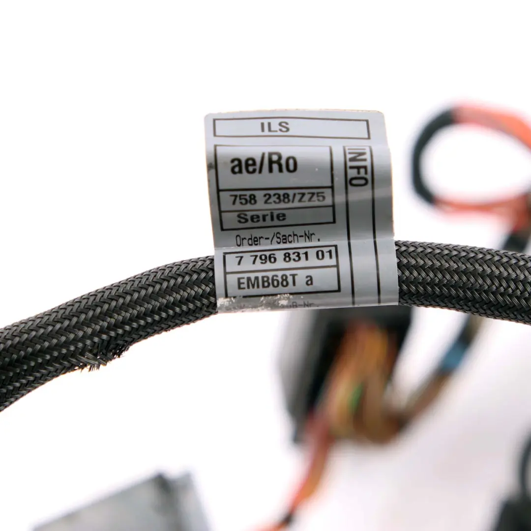 BMW 1 3 Series E87 E90 120d 318d 320d M47N2 Diesel Engine Wiring Loom Harness - SKU rhd-7796831 - Part number 7796831