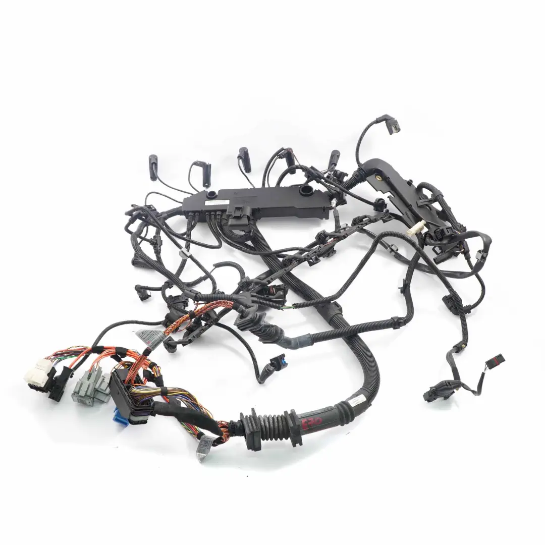 Wiring BMW E70 E71 M57N2 Module Injector Loom Harness Cables to Engine with Part number 7799662 Engine Wiring BMW E70 E71 M57N2 Module Injector Loom Harness Cables - SKU rhd-7799662 - Part number 7799662
