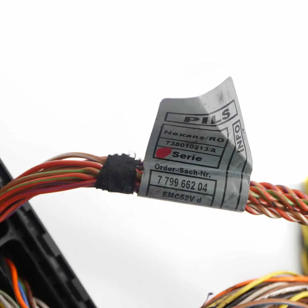 Wiring BMW E70 E71 M57N2 Module Injector Loom Harness Cables to Engine with Part number 7799662 Engine Wiring BMW E70 E71 M57N2 Module Injector Loom Harness Cables - SKU rhd-7799662 - Part number 7799662