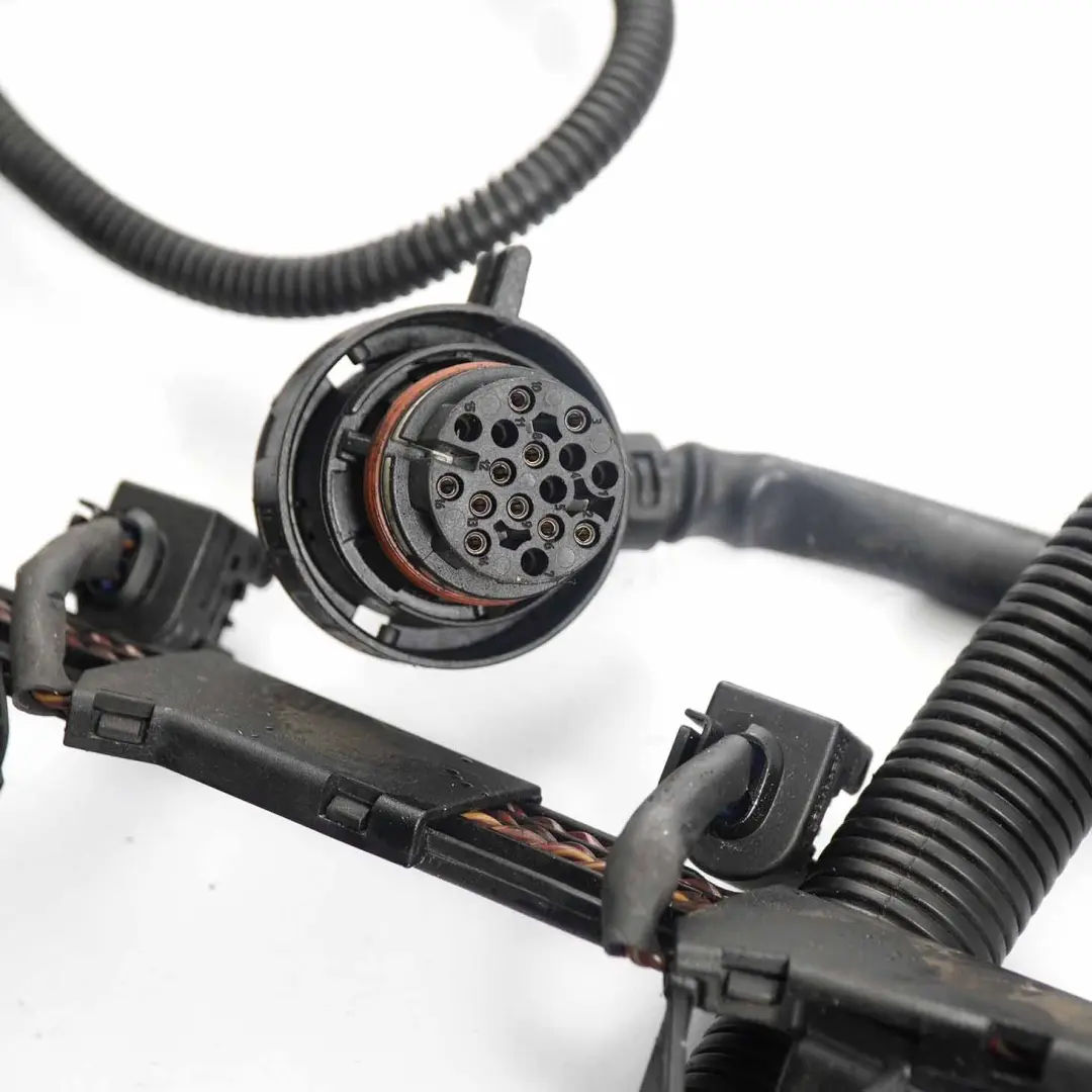 Wiring BMW E70 E71 M57N2 Module Injector Loom Harness Cables to Engine with Part number 7799662 Engine Wiring BMW E70 E71 M57N2 Module Injector Loom Harness Cables - SKU rhd-7799662 - Part number 7799662