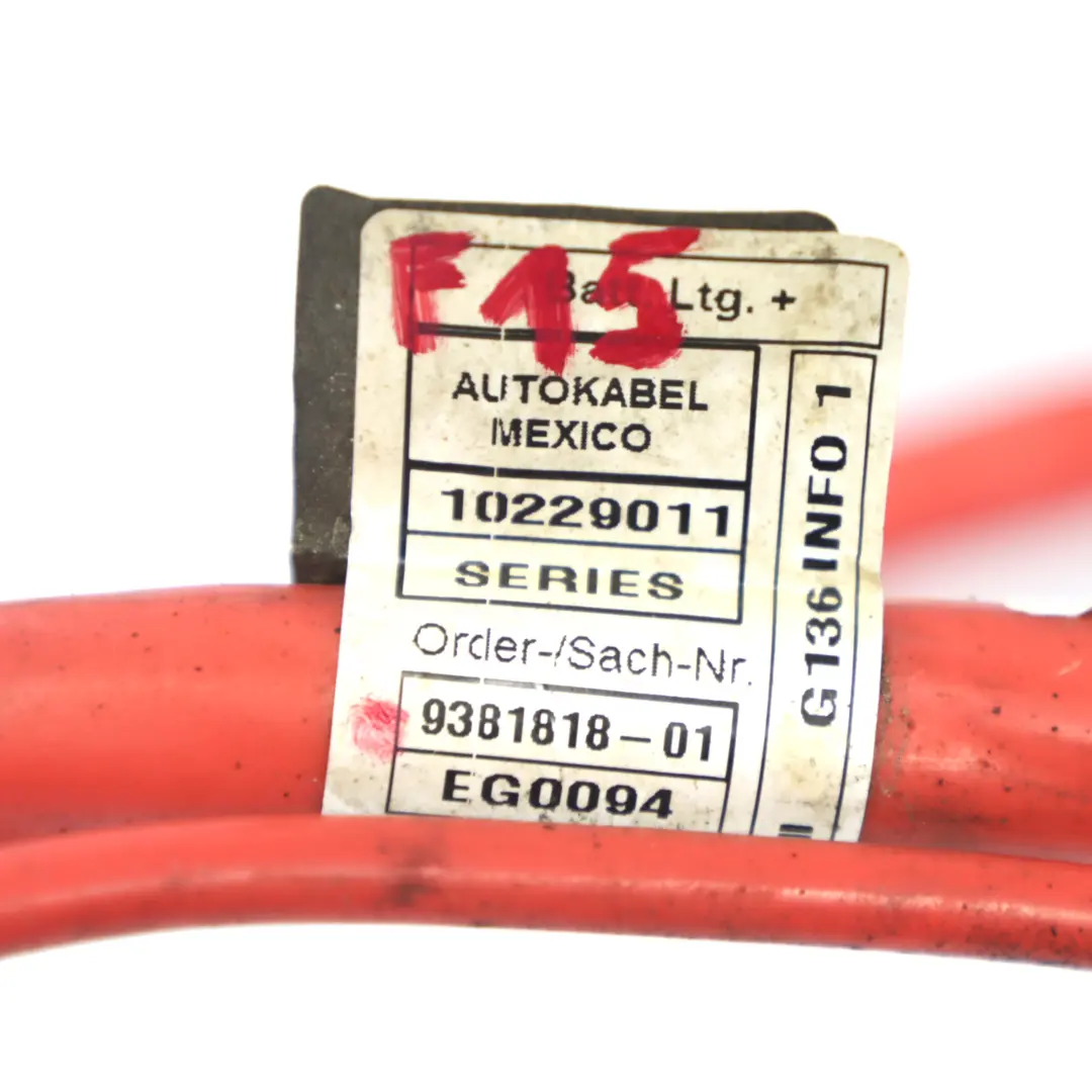 Cable Underfloor Positive Plus Lead Wiring Harness to BMW X5 F15 Battery with Part number 9381818 BMW X5 F15 Battery Cable Underfloor Positive Plus Lead Wiring Harness - SKU rhd-9381818 - Part number 9381818