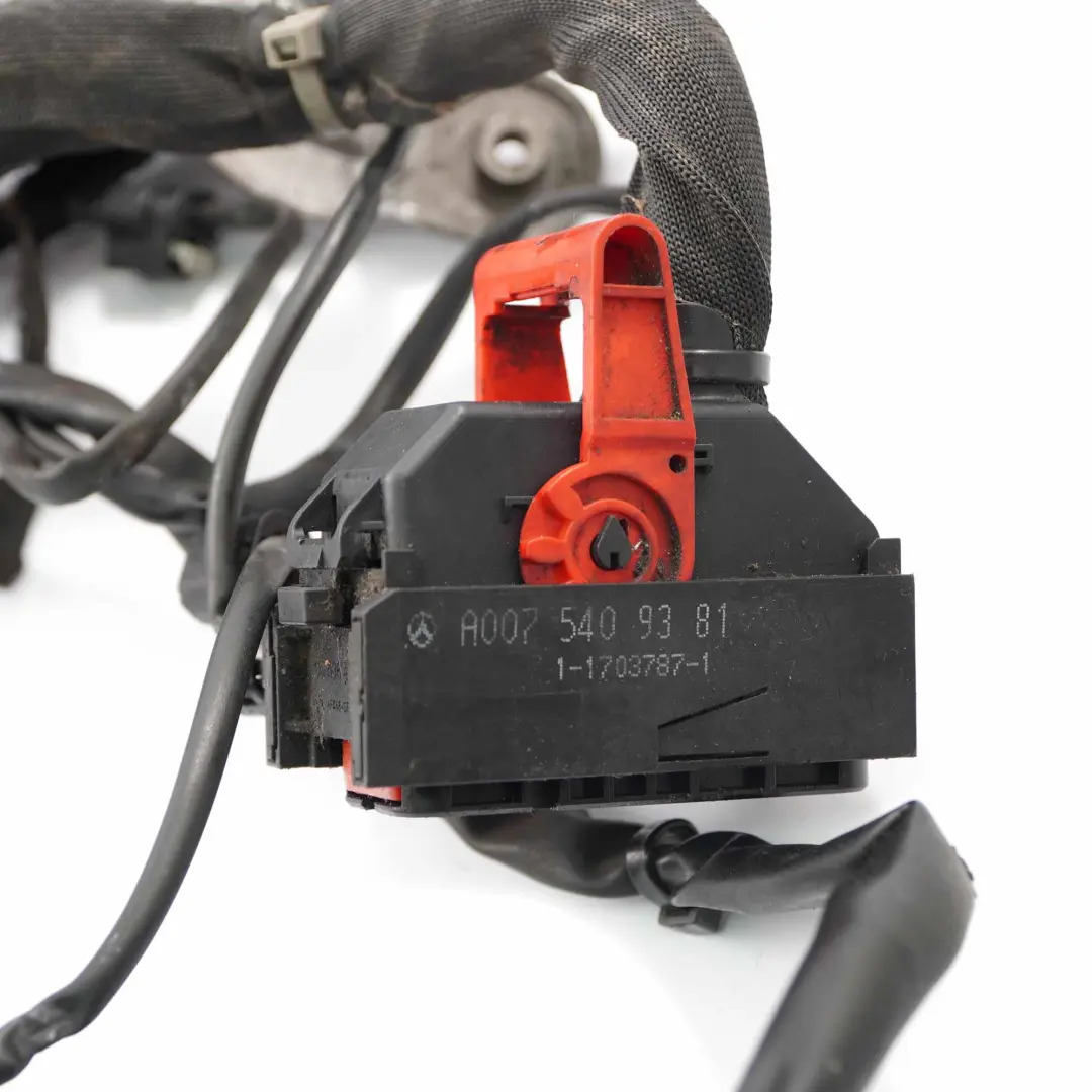 Wiring Mercedes W212 OM642 Loom Cable Harness Control Module to Engine with Part number A6421501189 Engine Wiring Mercedes W212 OM642 Loom Cable Harness Control Module - SKU rhd-A6421501189 - Part number A6421501189