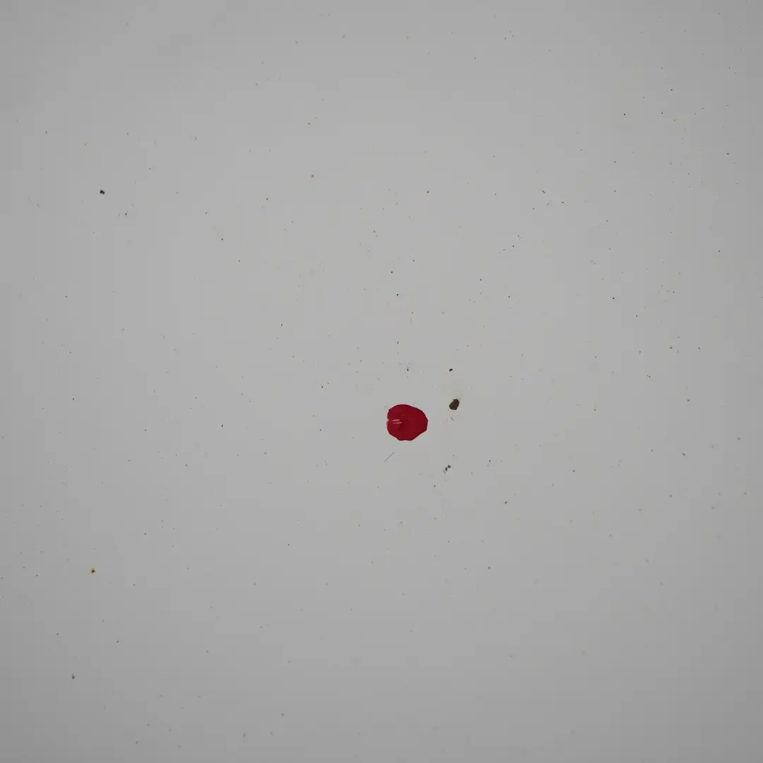 Maska Pokrywa Silnika 9147 do Mercedes Sprinter W906 o numerze A9067500102 Mercedes Sprinter W906 Maska Pokrywa Silnika 9147 - SKU rhd-A9067500102-ARW1 - Numer Części A9067500102