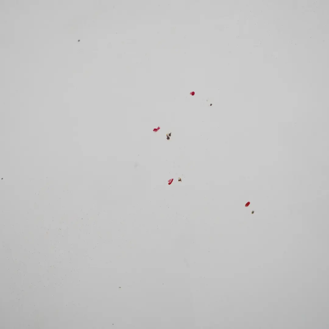 Maska Pokrywa Silnika 9147 do Mercedes Sprinter W906 o numerze A9067500102 Mercedes Sprinter W906 Maska Pokrywa Silnika 9147 - SKU rhd-A9067500102-ARW4 - Numer Części A9067500102