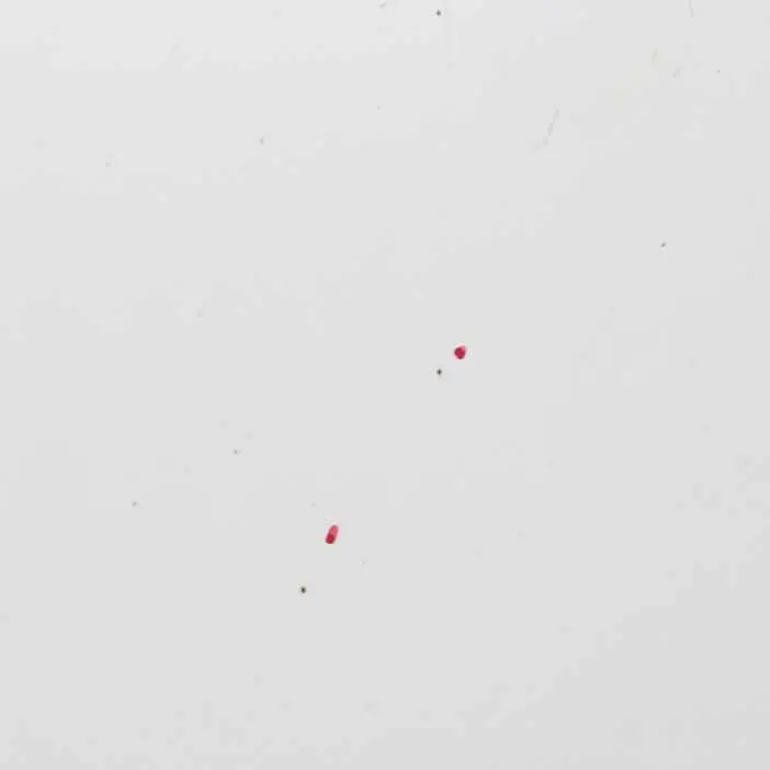 Maska Pokrywa Silnika 9147 do Mercedes Sprinter W906 o numerze A9067500102 Mercedes Sprinter W906 Maska Pokrywa Silnika 9147 - SKU rhd-A9067500102-ARW5 - Numer Części A9067500102