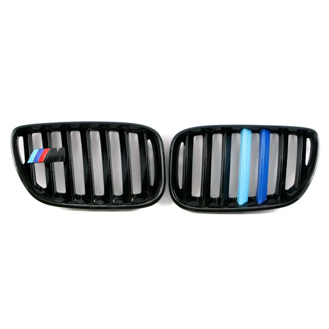 Front Grille Kidney Radiator Air Inlet Left Right N/O/S Set to BMW with Part number X5 E53 M Sport BMW Front Grille Kidney Radiator Air Inlet Left Right N/O/S Set - SKU X5 E53 M Sport Grille Set - Part number X5 E53 M Sport