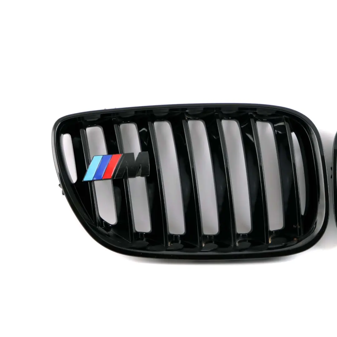 BMW Front Grille Kidney Radiator Air Inlet Left Right N/O/S Set - SKU X5 E53 M Sport Grille Set - Part number X5 E53 M Sport