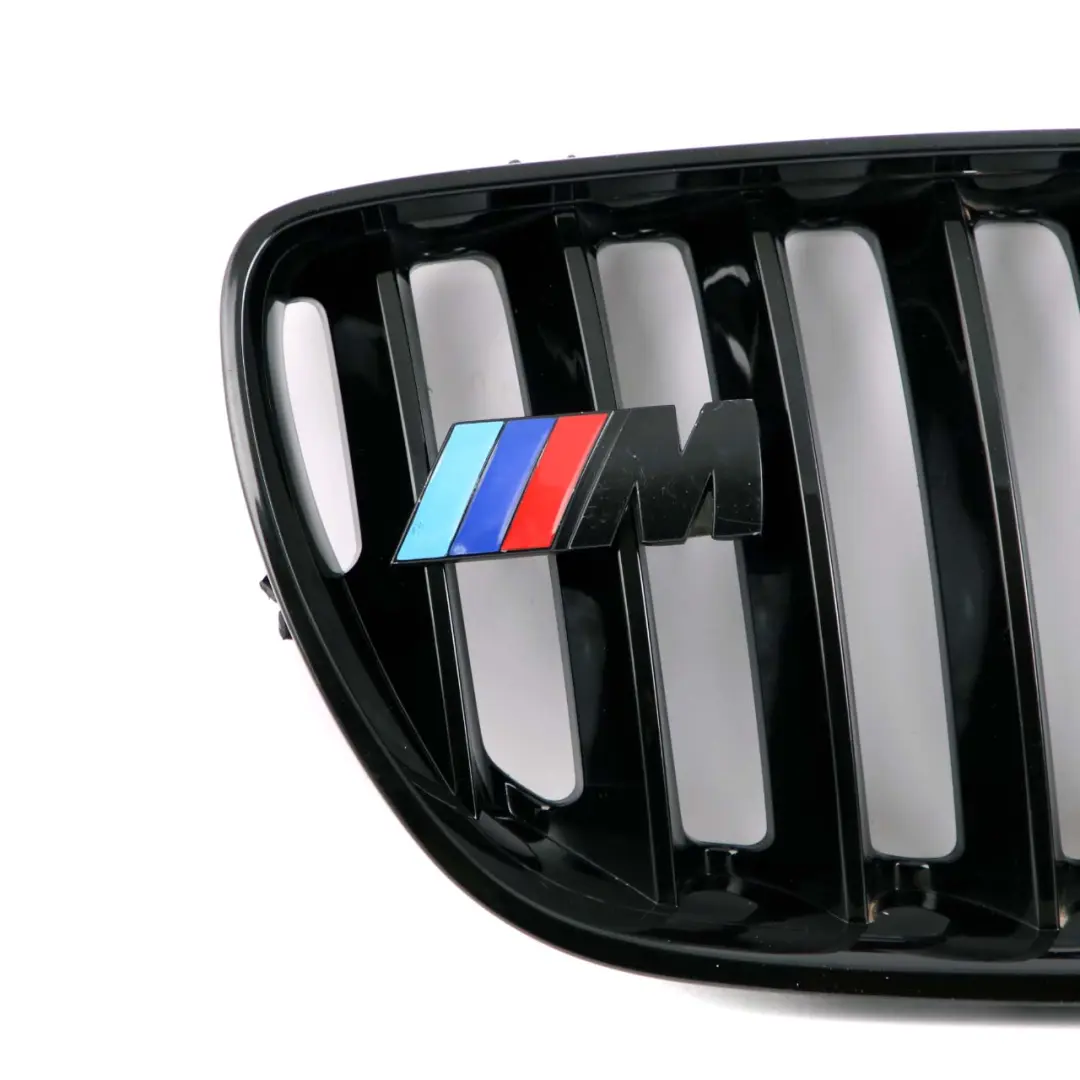 BMW Front Grille Kidney Radiator Air Inlet Left Right N/O/S Set - SKU X5 E53 M Sport Grille Set - Part number X5 E53 M Sport