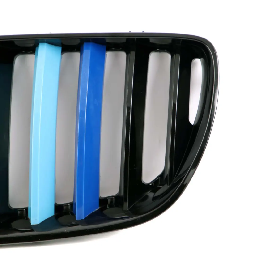 Front Grille Kidney Radiator Air Inlet Left Right N/O/S Set to BMW with Part number X5 E53 M Sport BMW Front Grille Kidney Radiator Air Inlet Left Right N/O/S Set - SKU X5 E53 M Sport Grille Set - Part number X5 E53 M Sport