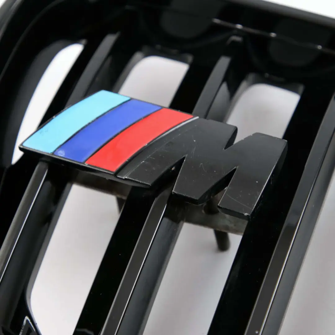 Front Grille Kidney Radiator Air Inlet Left Right N/O/S Set to BMW with Part number X5 E53 M Sport BMW Front Grille Kidney Radiator Air Inlet Left Right N/O/S Set - SKU X5 E53 M Sport Grille Set - Part number X5 E53 M Sport