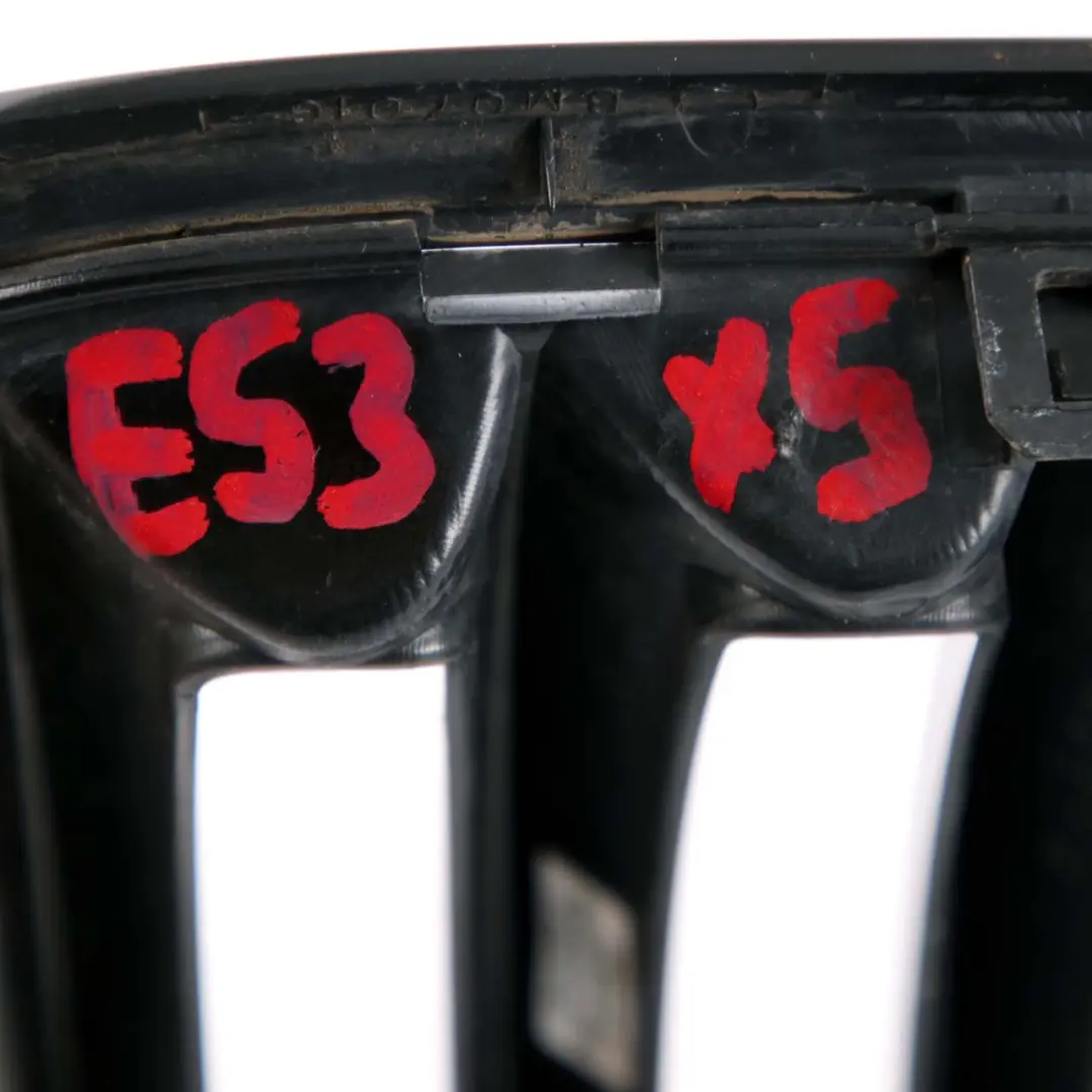 Front Grille Kidney Radiator Air Inlet Left Right N/O/S Set to BMW with Part number X5 E53 M Sport BMW Front Grille Kidney Radiator Air Inlet Left Right N/O/S Set - SKU X5 E53 M Sport Grille Set - Part number X5 E53 M Sport