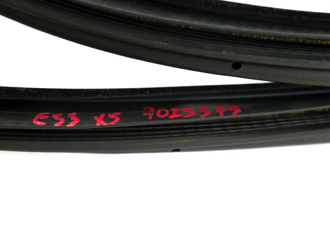 BMW X5 E53 Joint d'étanchéité de porte avant Protection des bords gauche droite - SKU 7025579 - Numéro de pièce 7025579